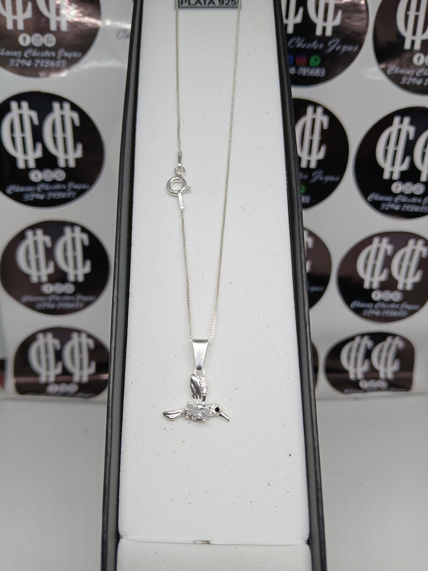 Collar - Cadena y Dije de Colibrí (blanco) - Plata 925.