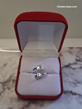 Anillo Amistad Plata 925 Ajustable para Mujer - Medida 10